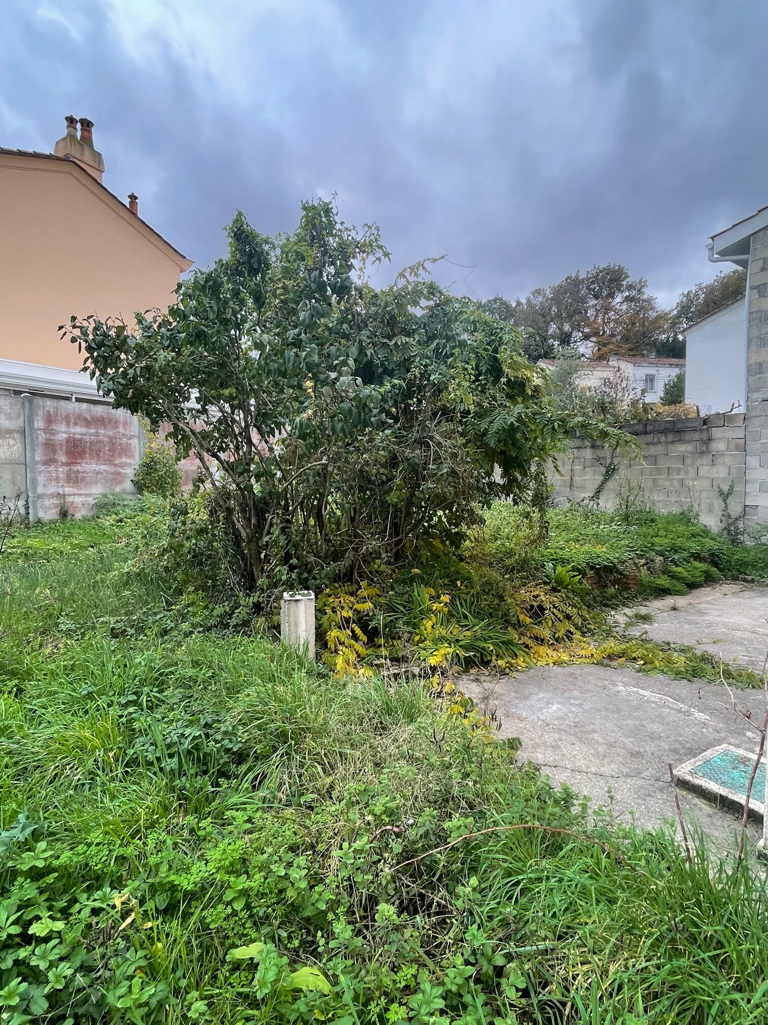 jardin 2